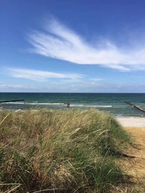 Grosse Kirr Zingst Exterior foto