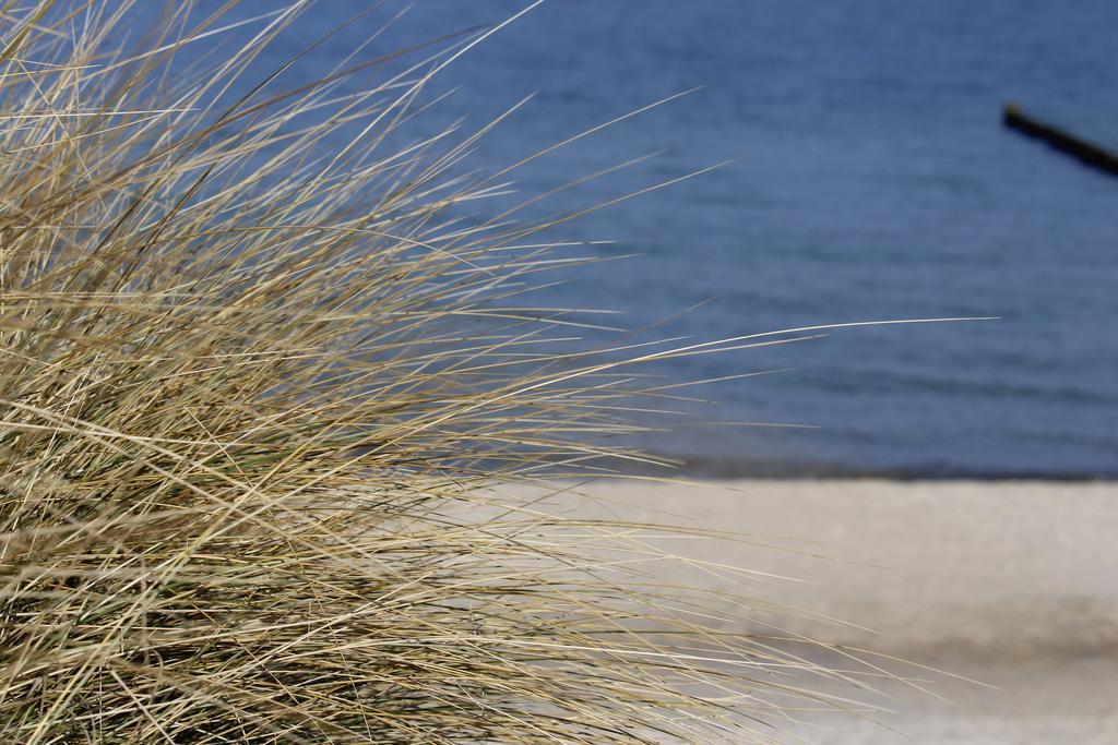 Grosse Kirr Zingst Exterior foto